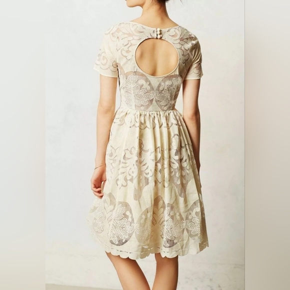 Tracy Reese gorgeous lace dress | size 6p - Picture 3 of 10